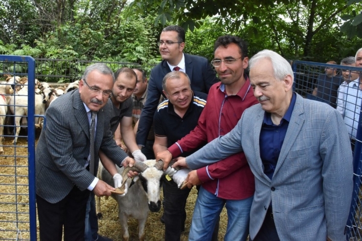 Hilmi Güler Ezber Bozdu