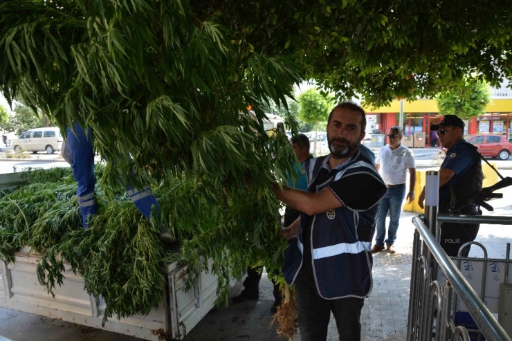 Ortaca’da Uyuşturucu Operasyonu