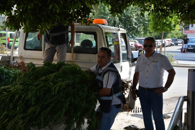 Ortaca’da Uyuşturucu Operasyonu