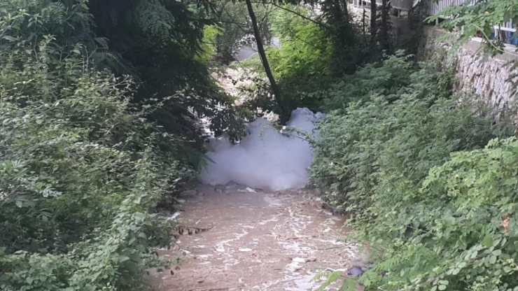 Sapanca Gölü’ne Dökülen Derede Köpük Oluştu