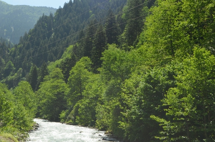 Yaşanan Ölümlere Değil, Çıkan Haberlere Üzülmüşler