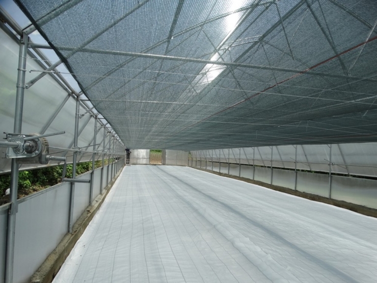 Tanap’tan Aldığı Destek İle Topraksız Serada Üretim Yapacak