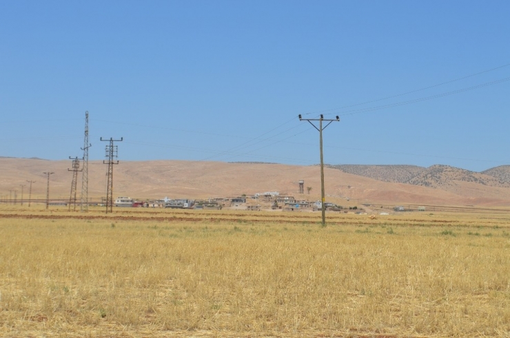 Terör Örgütü Çiftçileri Hedef Aldı