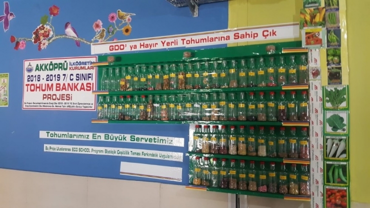 Van’ın Çevreci Okulundan "Tohum Bankası" Projesi