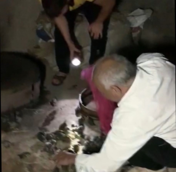 Yuvalarından Düşen Yüzlerce Yavru Kuşu Çamaşır Sepetiyle Topladılar