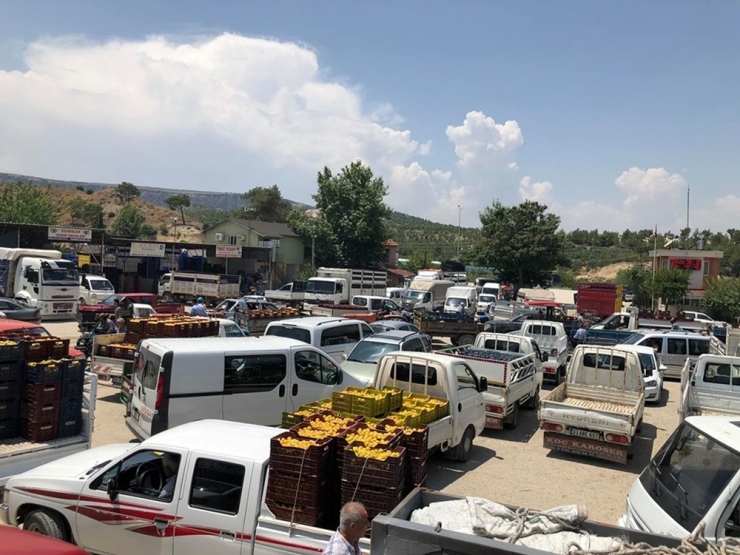 Mut Sebze Ve Meyve Toptancı Hali İhtiyaca Cevap Vermiyor