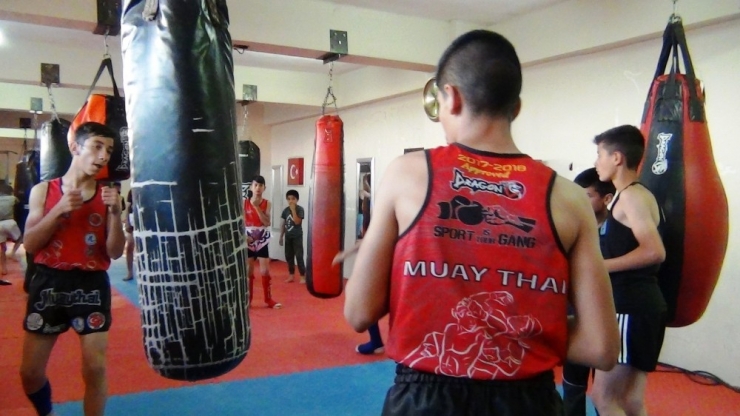 Karnelerini Alıp Ringe Koştular