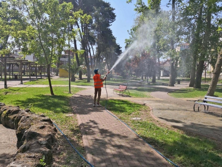 Bafra Belediyesi Larva İlaçlamasını Sürdürüyor