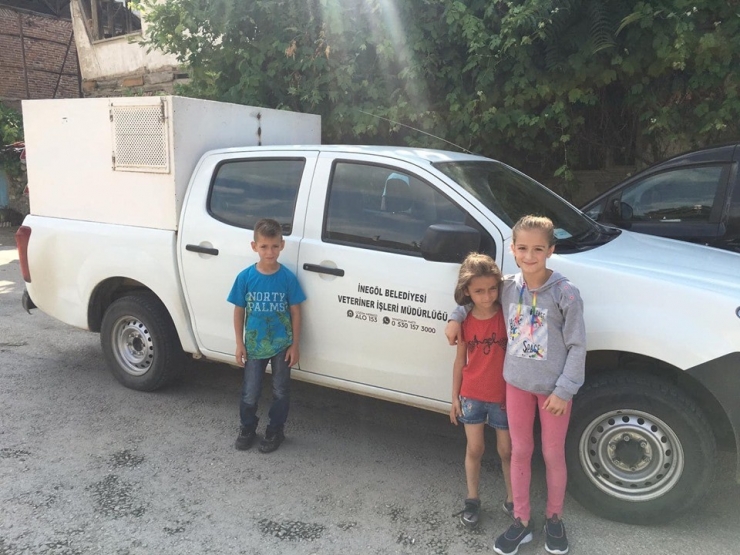 Yaralı Köpeğe Önce Çocuklar, Sonra Belediye Sahip Çıktı