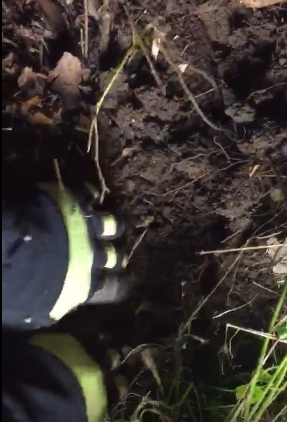 Toprağa Gömülü Kediyi İtfaiye Ekipleri Kurtardı