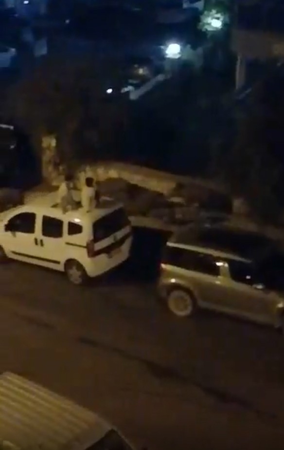 Domuz Sürüsü Şehre İndi, Korkan Çocuklar Araçların Üzerine Çıktı