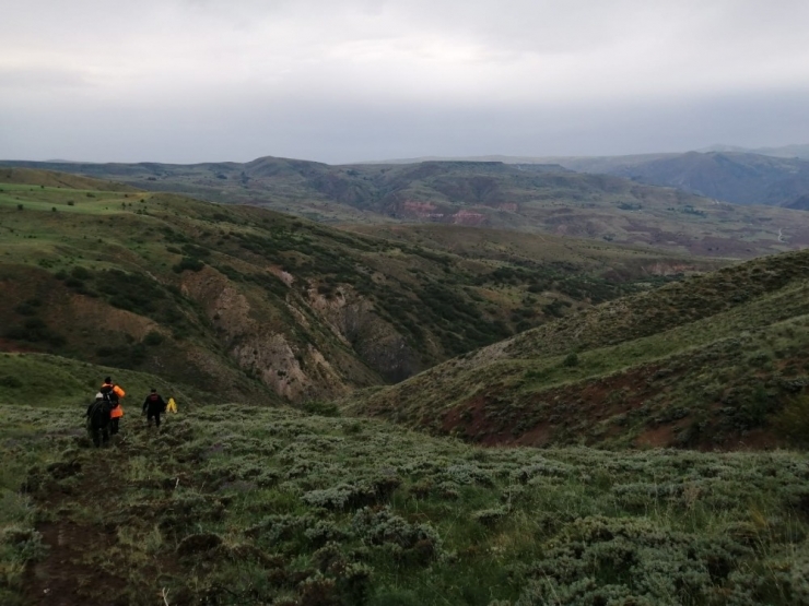 Uçuruma Yuvarlanan İnek İtfaiye Tarafından Kurtarıldı