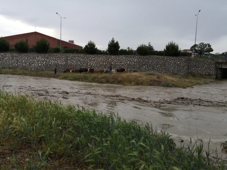 Yağmur Suları Yükselince Dere Kenarında Mahsur Kaldılar