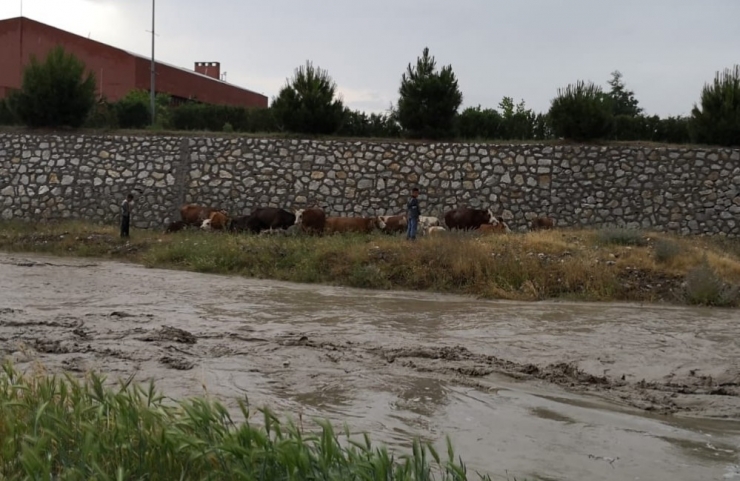 Yağmur Suları Yükselince Dere Kenarında Mahsur Kaldılar