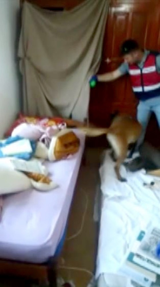 Kenevir Yetiştirmek İçin Ev Kiralamışlar