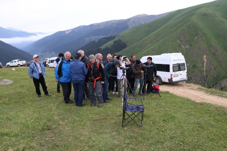 Dağ Horozu Kendini 3 Yıl Sonra 2 Km Uzaktan Dürbünle Gösterdi
