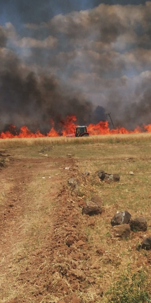 Diyarbakır’da 70 Dönüm Ekili Arazi Kül Oldu