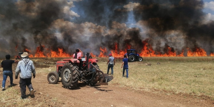Diyarbakır’da 70 Dönüm Ekili Arazi Kül Oldu
