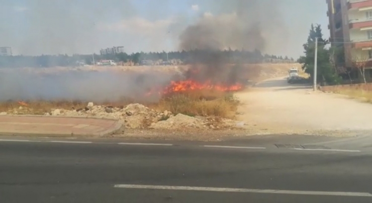 Şanlıurfa’da Korkutan Anız Yangını