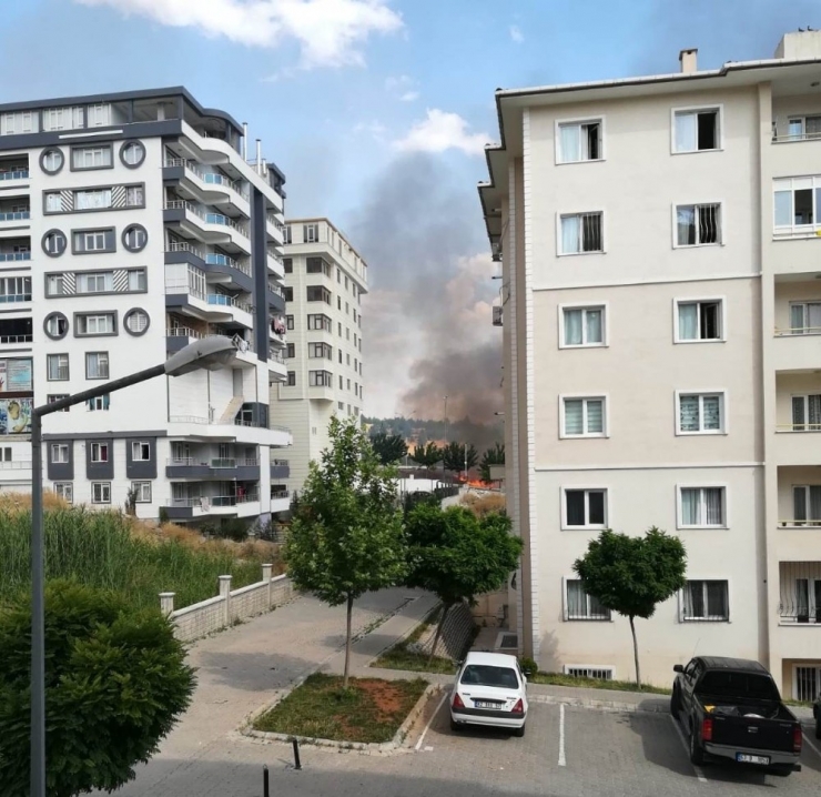 Şanlıurfa’da Korkutan Anız Yangını