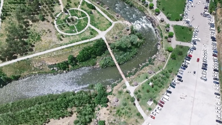 Mavi Fularlılar Balıkların Göçünü İzledi