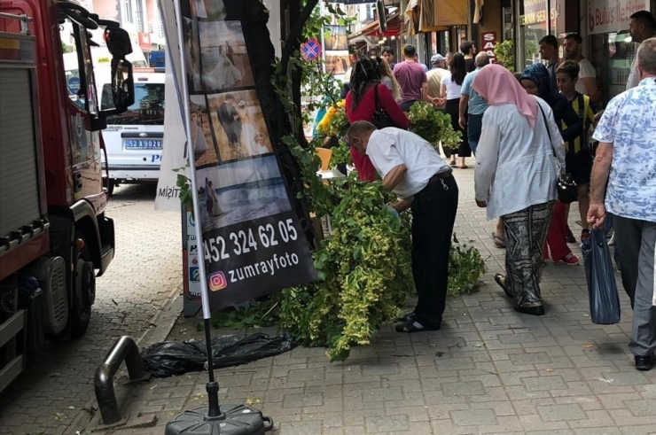 O Canıyla Uğraştı, Vatandaş Ihlamurla