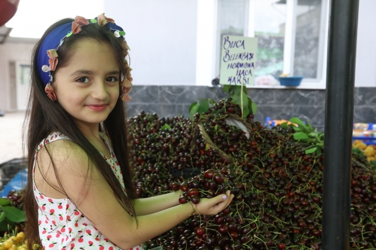 Belenbaşı’nda 14’üncü Kiraz Şöleni