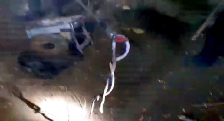 Adıyaman’da Yılan Avı