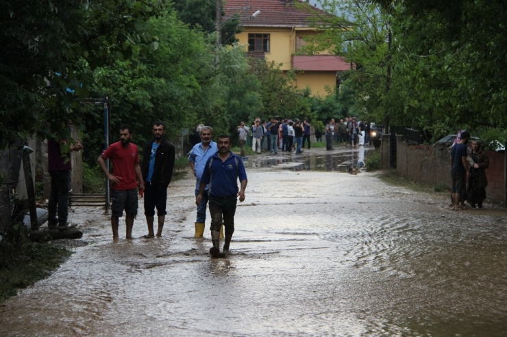 Düzce Sele Teslim Oldu