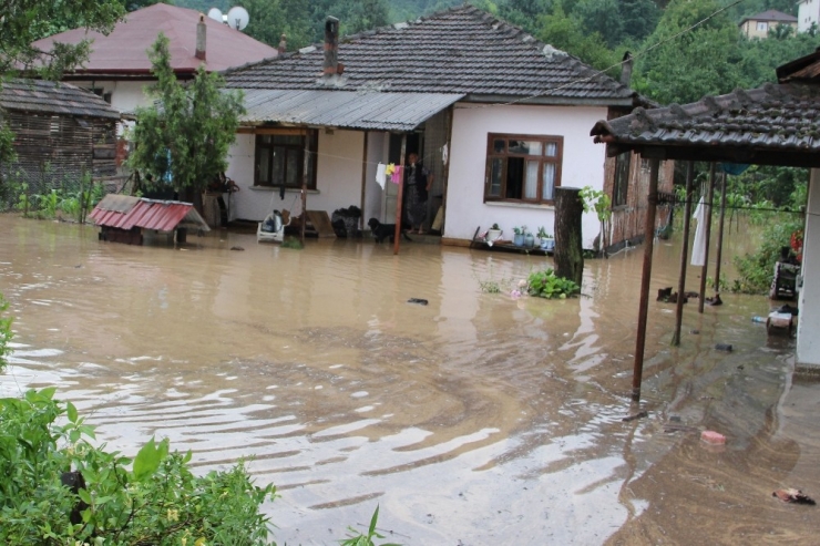 Düzce Sele Teslim Oldu