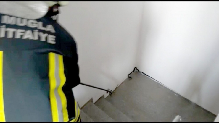 Fethiye’de Diyet Merkezinde Yılan Yakalama Operasyonu