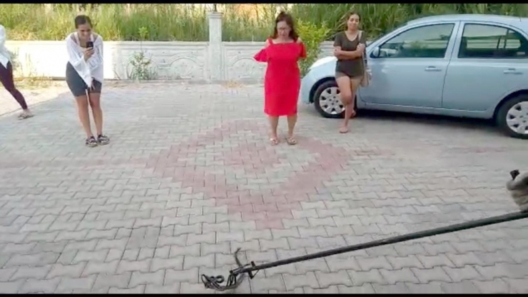 Fethiye’de Diyet Merkezinde Yılan Yakalama Operasyonu