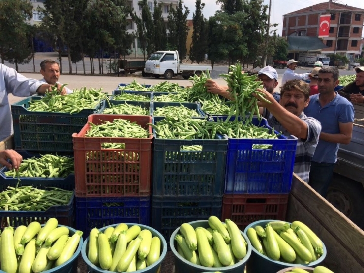 Fasulye Altın Çağını Yaşıyor