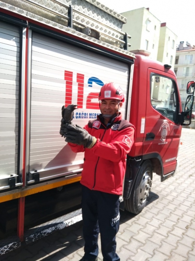 Yangın Merdiveninde Mahsur Kalan Kargayı İtfaiye Kurtardı