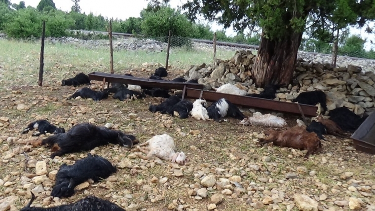 Mersin’de Sel Ve Yıldırım Hayatı Olumsuz Etkiledi
