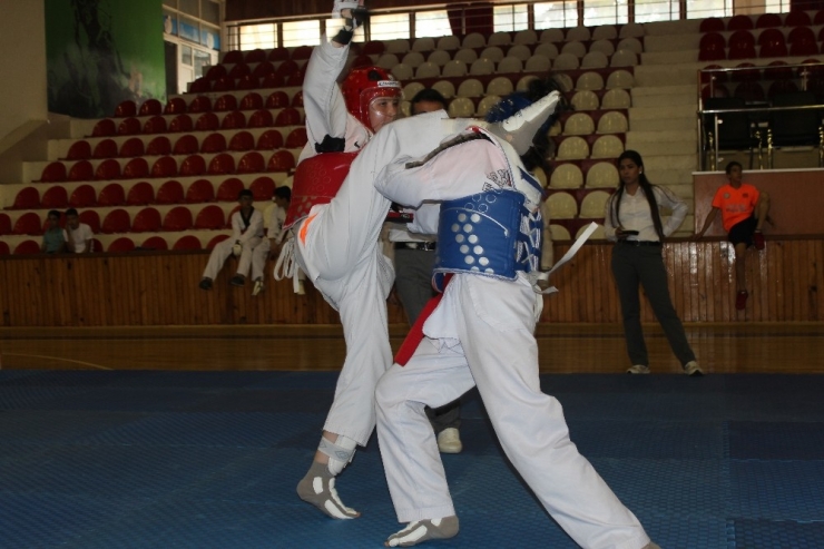 Muğla’da Yıldızlar Ve Ümitler Taekwondo İl Şampiyonası Yapıldı