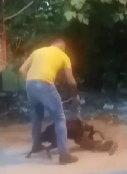 Köpeğine Sokak Kedisini Böyle Parçalattı
