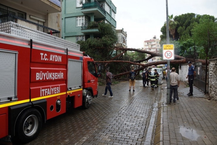 Aydın’da Sağanak Yağış Hayatı Olumsuz Etkiledi