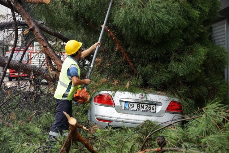 Aydın’da Sağanak Yağış Hayatı Olumsuz Etkiledi