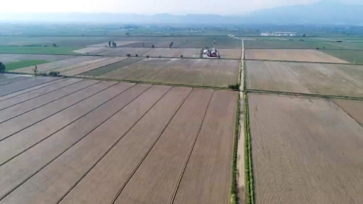 5 Bin Dönemim Pamuğu Yerle Bir Eden Dolu 10 Milyonluk Zarara Yol Açtı