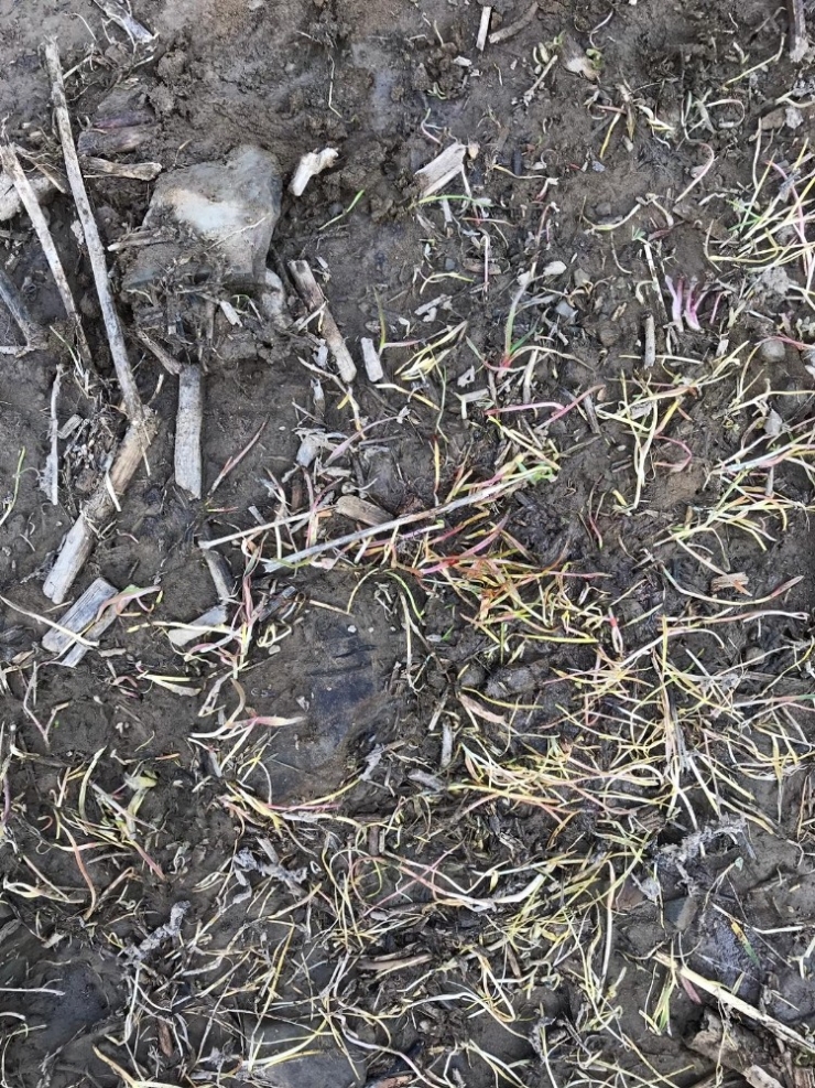 Hakkari’de Pkk Terör Örgütüne Ait Mühimmat Ele Geçirildi