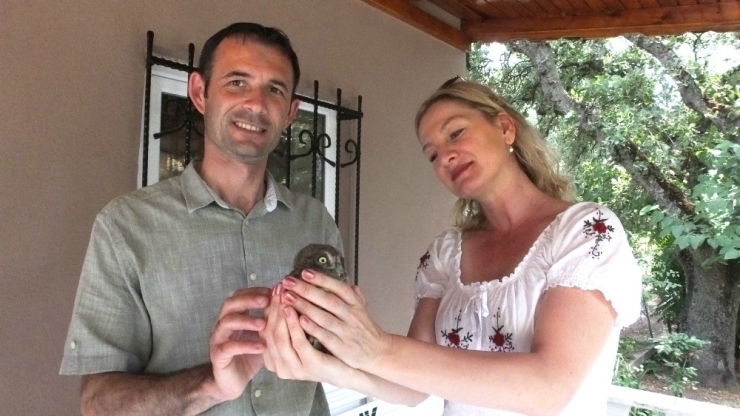 Sokakta Bulduğu Yavru Baykuşa Sahip Çıktı