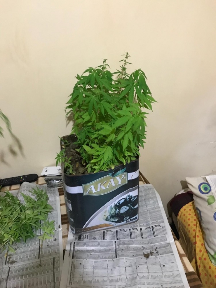 Oğlunu Öldüren Babanın Balkonundan Uyuşturucu Çıktı