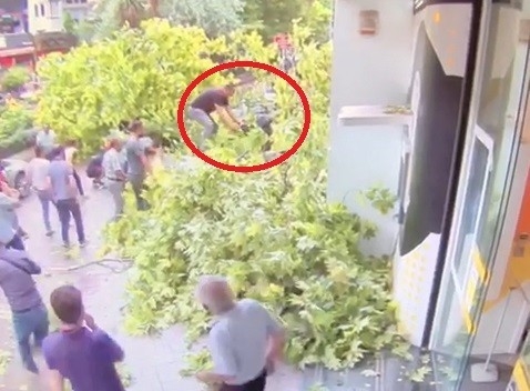 Fırtınada Asırlık Çınar Ağacının Yeni Devrilme Görüntüleri Ortaya Çıktı