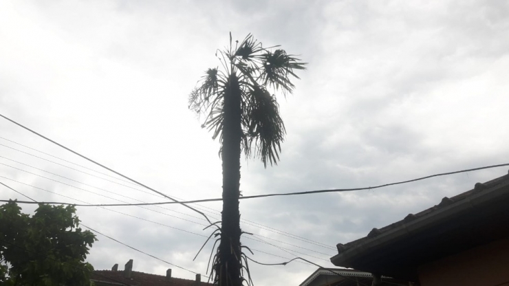 Akyazı’da Evin Bahçesine Yıldırım Düştü