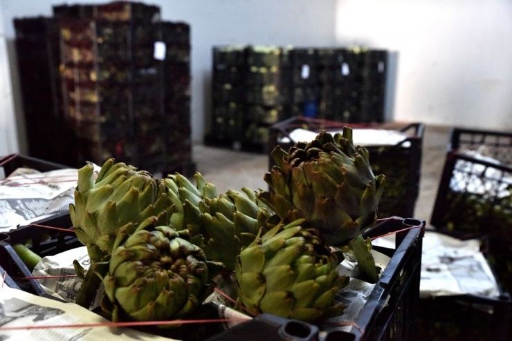 Tepebaşı Belediyesi’nden Üreticiye Tam Destek