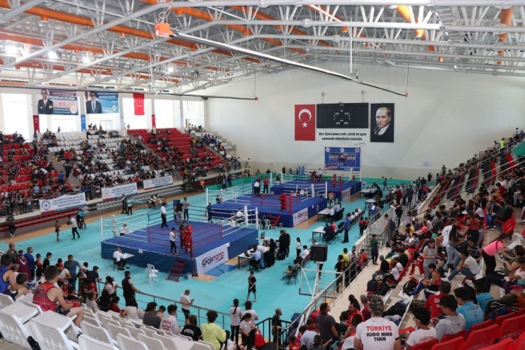 Erzincan, Türkiye Çocuklar Muaythai Şampiyonası’na Ev Sahipliği Yapıyor