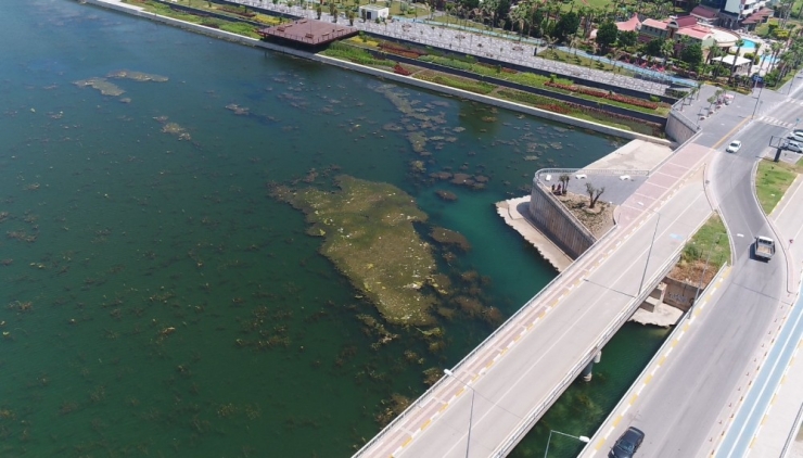 Boğaçayı’nda Yosun Ve Rüsubat Temizliği