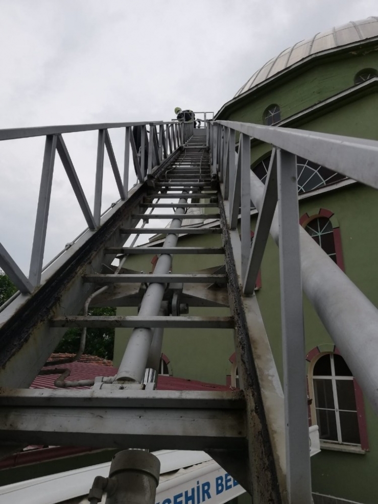 Cami Kubbesinden Bacağından Sıkışan Leyleği İtfaiye Kurtardı