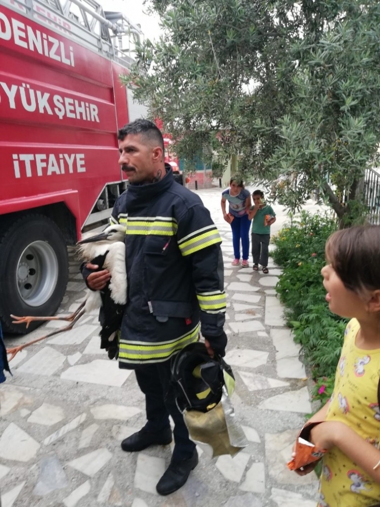 Cami Kubbesinden Bacağından Sıkışan Leyleği İtfaiye Kurtardı